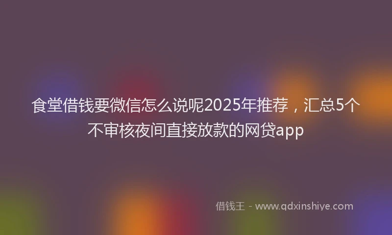 食堂借钱要微信怎么说呢2025年推荐，汇总5个不审核夜间直接放款的网贷app