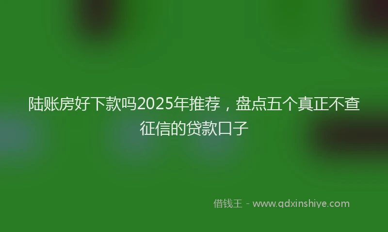 陆账房好下款吗2025年推荐，盘点五个真正不查征信的贷款口子