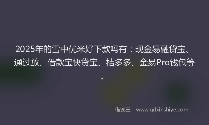 2025年的雪中优米好下款吗有：现金易融贷宝、通过放、借款宝快贷宝、桔多多、金易Pro钱包等。