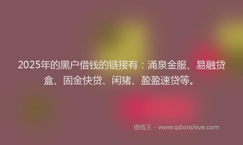 2025年的黑户借钱的链接有：涌泉金服、易融贷盒、固金快贷、闲猪、盈盈速贷等。