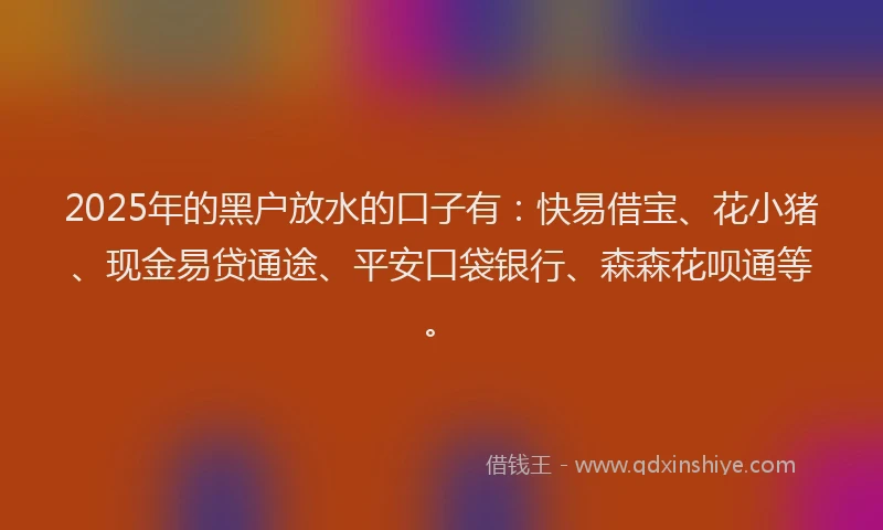 2025年的黑户放水的口子有：快易借宝、花小猪、现金易贷通途、平安口袋银行、森森花呗通等。