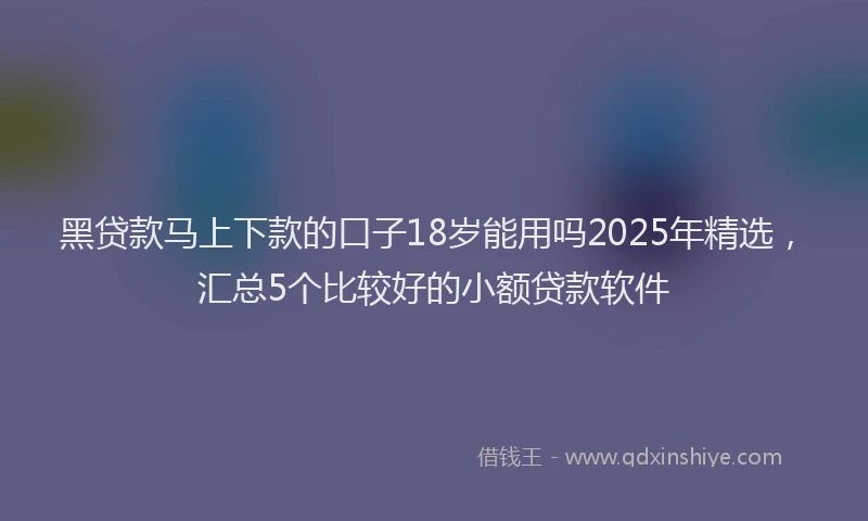 黑贷款马上下款的口子18岁能用吗2025年精选，汇总5个比较好的小额贷款软件
