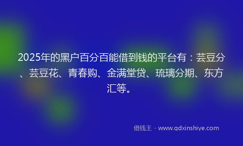 2025年的黑户百分百能借到钱的平台有：芸豆分、芸豆花、青春购、金满堂贷、琉璃分期、东方汇等。