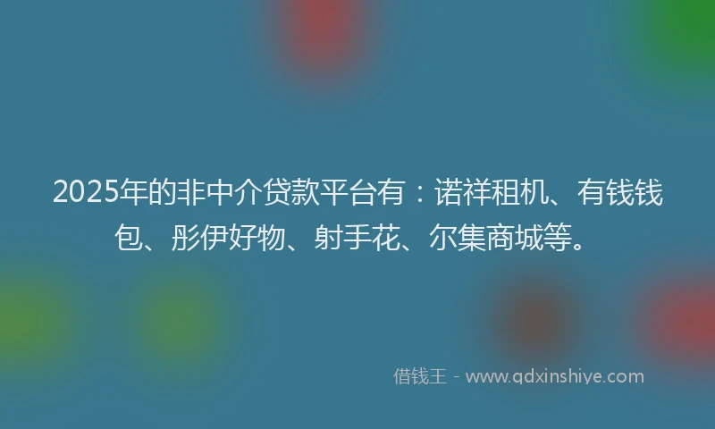 2025年的非中介贷款平台有：诺祥租机、有钱钱包、彤伊好物、射手花、尔集商城等。