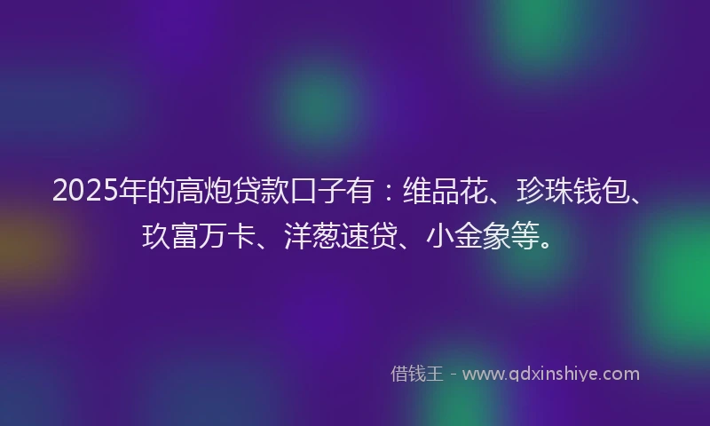 2025年的高炮贷款口子有：维品花、珍珠钱包、玖富万卡、洋葱速贷、小金象等。