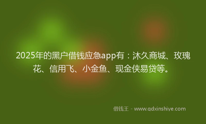 2025年的黑户借钱应急app有：沐久商城、玫瑰花、信用飞、小金鱼、现金侠易贷等。