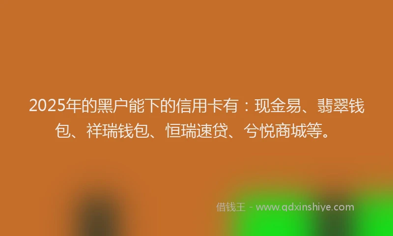 2025年的黑户能下的信用卡有：现金易、翡翠钱包、祥瑞钱包、恒瑞速贷、兮悦商城等。