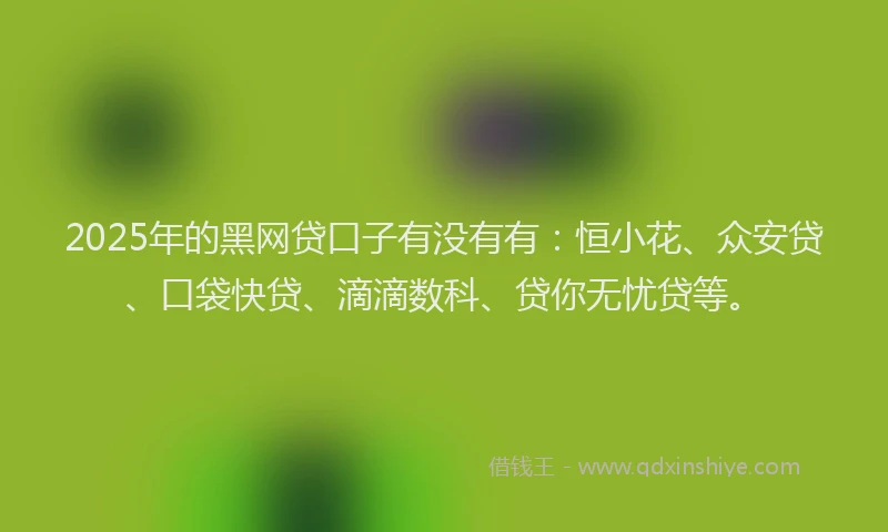 2025年的黑网贷口子有没有有：恒小花、众安贷、口袋快贷、滴滴数科、贷你无忧贷等。