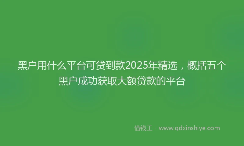 黑户用什么平台可贷到款2025年精选，概括五个黑户成功获取大额贷款的平台