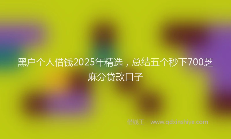 黑户个人借钱2025年精选，总结五个秒下700芝麻分贷款口子