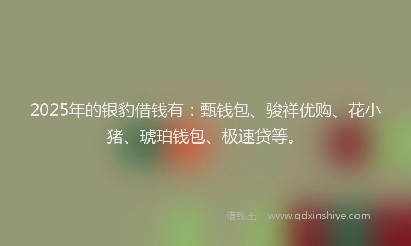 2025年的银豹借钱有：甄钱包、骏祥优购、花小猪、琥珀钱包、极速贷等。