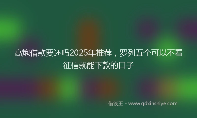 高炮借款要还吗2025年推荐，罗列五个可以不看征信就能下款的口子