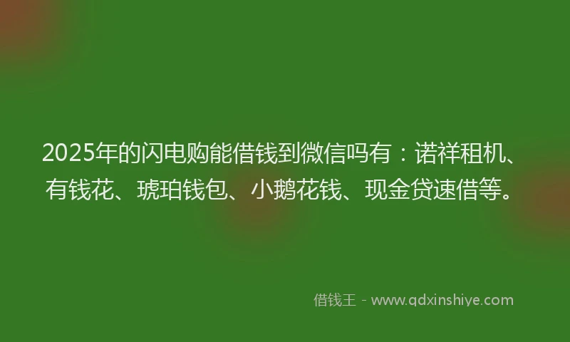 2025年的闪电购能借钱到微信吗有：诺祥租机、有钱花、琥珀钱包、小鹅花钱、现金贷速借等。