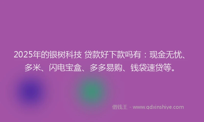 2025年的银树科技 贷款好下款吗有：现金无忧、多米、闪电宝盒、多多易购、钱袋速贷等。