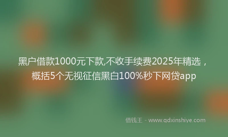 黑户借款1000元下款,不收手续费2025年精选，概括5个无视征信黑白100%秒下网贷app