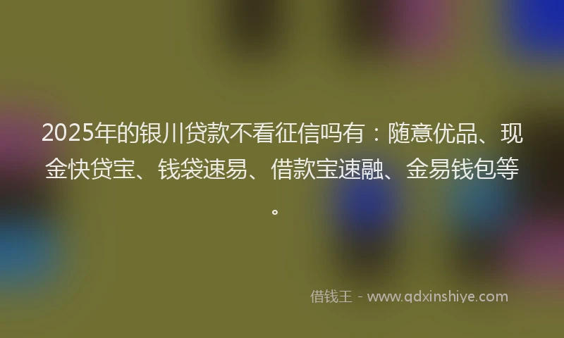2025年的银川贷款不看征信吗有：随意优品、现金快贷宝、钱袋速易、借款宝速融、金易钱包等。
