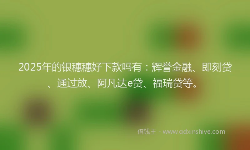 2025年的银穗穗好下款吗有：辉誉金融、即刻贷、通过放、阿凡达e贷、福瑞贷等。
