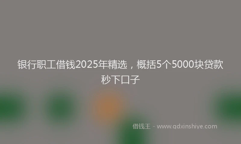 银行职工借钱2025年精选，概括5个5000块贷款秒下口子