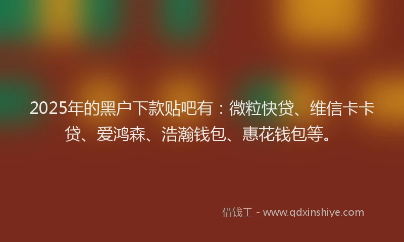 2025年的黑户下款贴吧有：微粒快贷、维信卡卡贷、爱鸿森、浩瀚钱包、惠花钱包等。