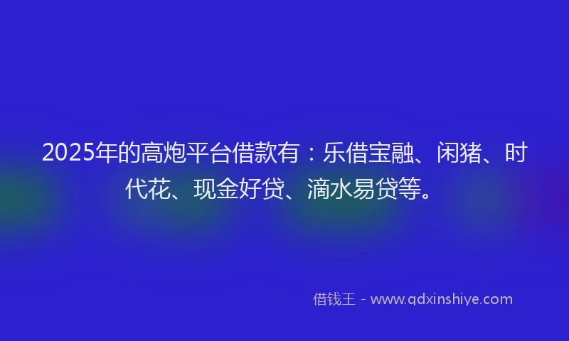 2025年的高炮平台借款有：乐借宝融、闲猪、时代花、现金好贷、滴水易贷等。