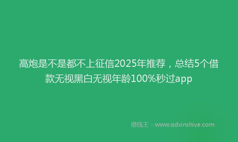高炮是不是都不上征信2025年推荐，总结5个借款无视黑白无视年龄100%秒过app