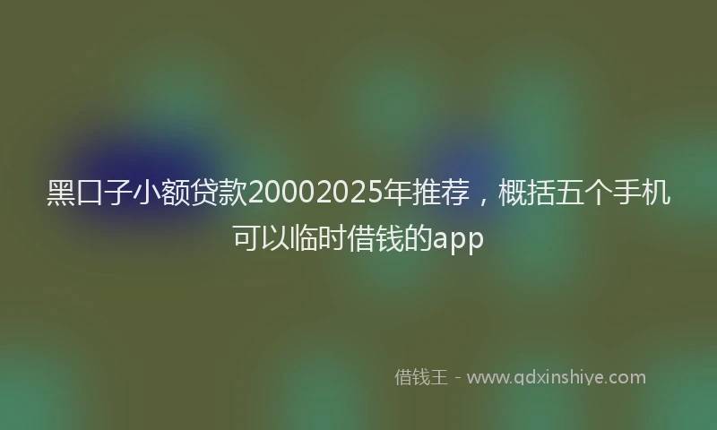黑口子小额贷款20002025年推荐，概括五个手机可以临时借钱的app