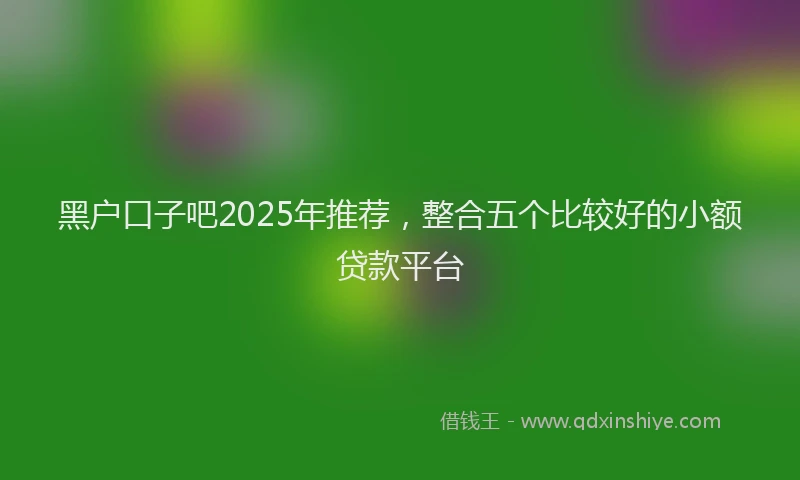 黑户口子吧2025年推荐，整合五个比较好的小额贷款平台
