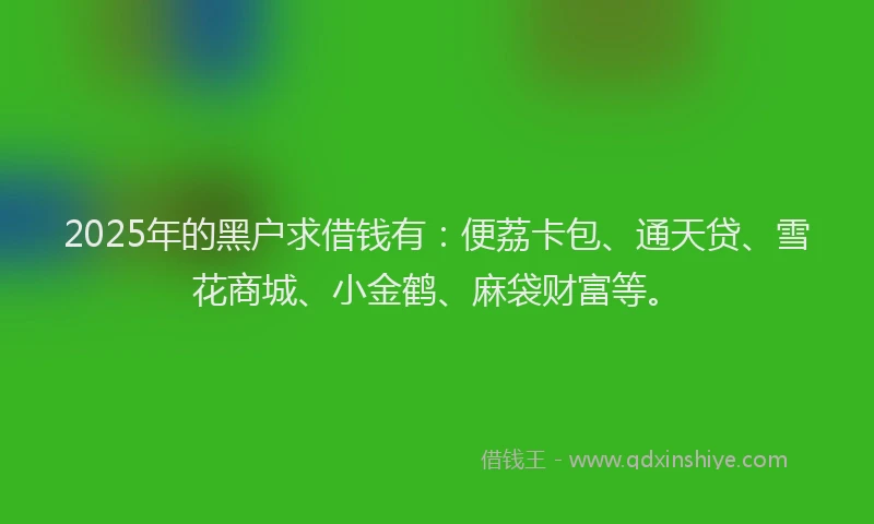 2025年的黑户求借钱有：便荔卡包、通天贷、雪花商城、小金鹤、麻袋财富等。