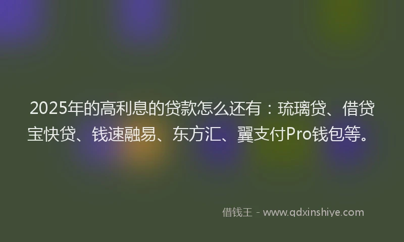 2025年的高利息的贷款怎么还有：琉璃贷、借贷宝快贷、钱速融易、东方汇、翼支付Pro钱包等。