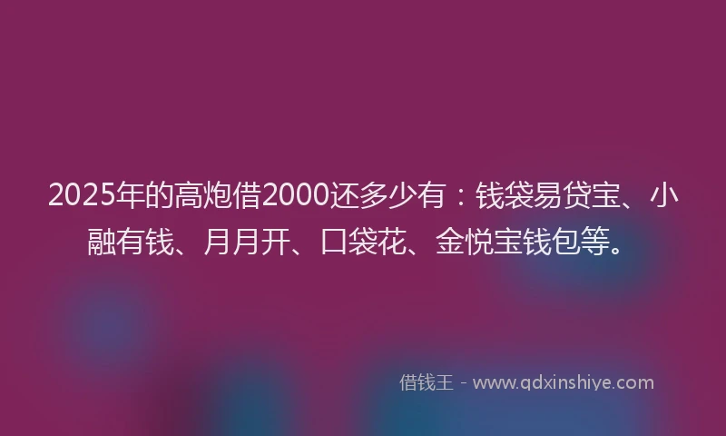 2025年的高炮借2000还多少有：钱袋易贷宝、小融有钱、月月开、口袋花、金悦宝钱包等。