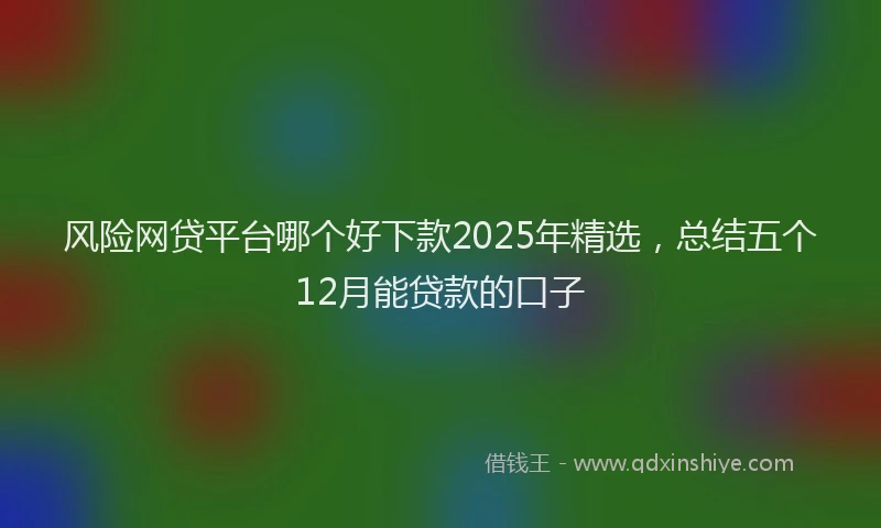 风险网贷平台哪个好下款2025年精选，总结五个12月能贷款的口子