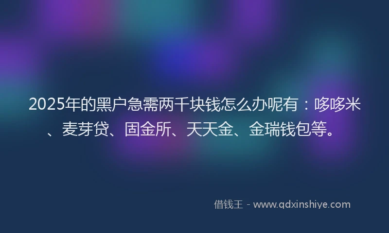 2025年的黑户急需两千块钱怎么办呢有：哆哆米、麦芽贷、固金所、天天金、金瑞钱包等。
