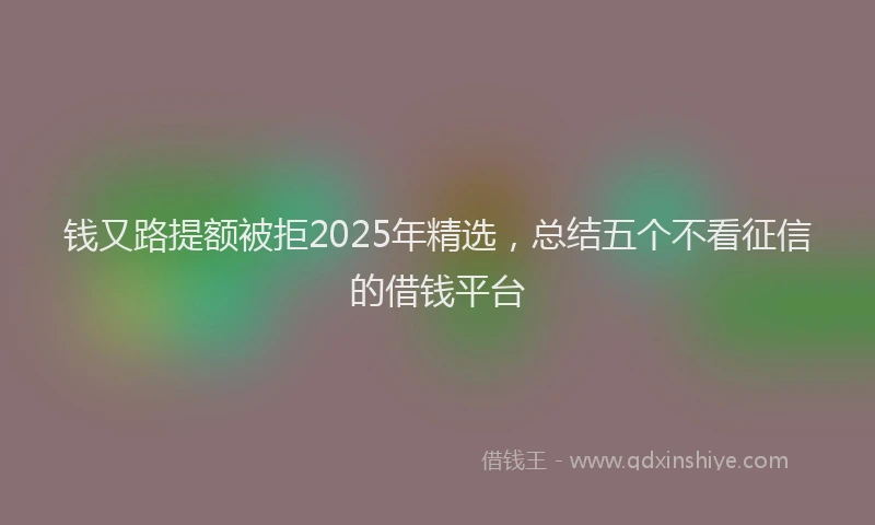 钱又路提额被拒2025年精选，总结五个不看征信的借钱平台