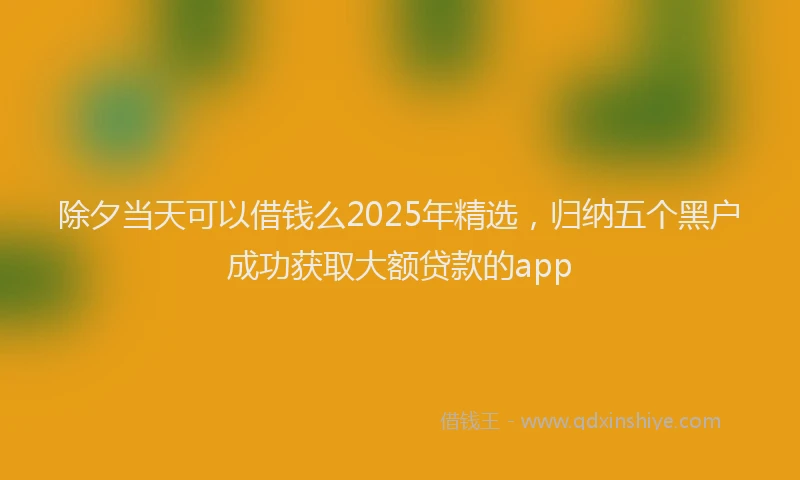 除夕当天可以借钱么2025年精选，归纳五个黑户成功获取大额贷款的app