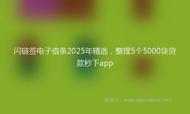 闪链签电子借条2025年精选，整理5个5000块贷款秒下app