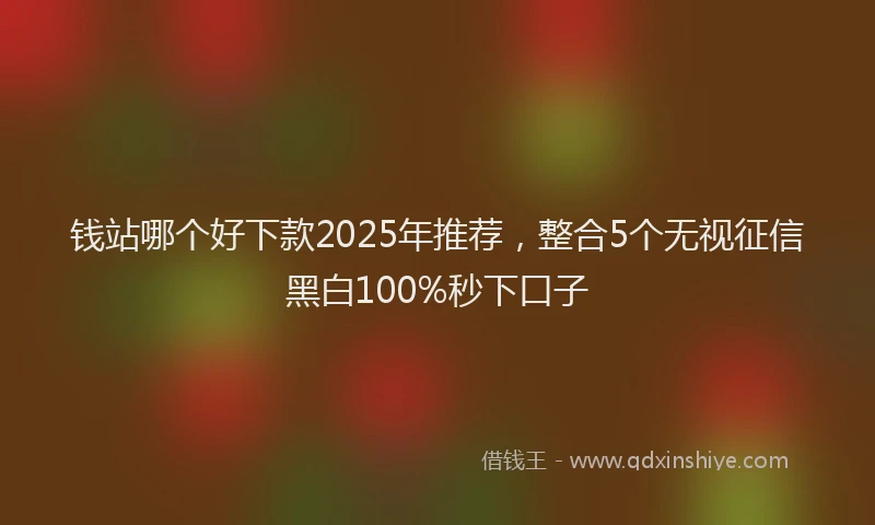 钱站哪个好下款2025年推荐，整合5个无视征信黑白100%秒下口子