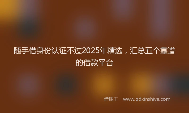 随手借身份认证不过2025年精选，汇总五个靠谱的借款平台