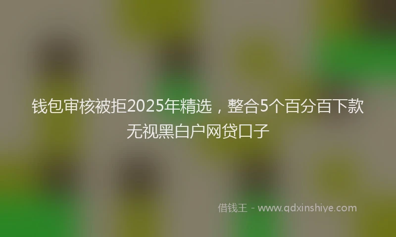 钱包审核被拒2025年精选，整合5个百分百下款无视黑白户网贷口子
