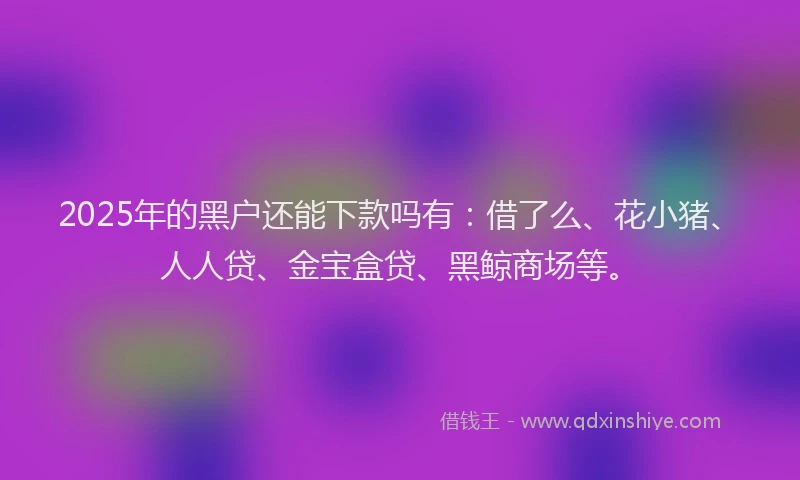 2025年的黑户还能下款吗有：借了么、花小猪、人人贷、金宝盒贷、黑鲸商场等。