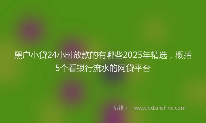 黑户小贷24小时放款的有哪些2025年精选，概括5个看银行流水的网贷平台