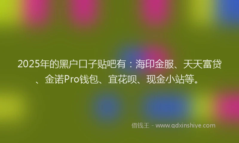 2025年的黑户口子贴吧有：海印金服、天天富贷、金诺Pro钱包、宜花呗、现金小站等。