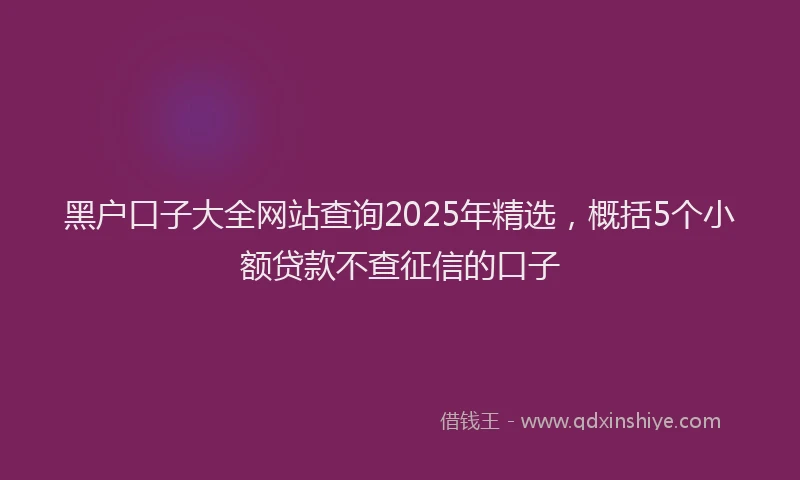 黑户口子大全网站查询2025年精选，概括5个小额贷款不查征信的口子