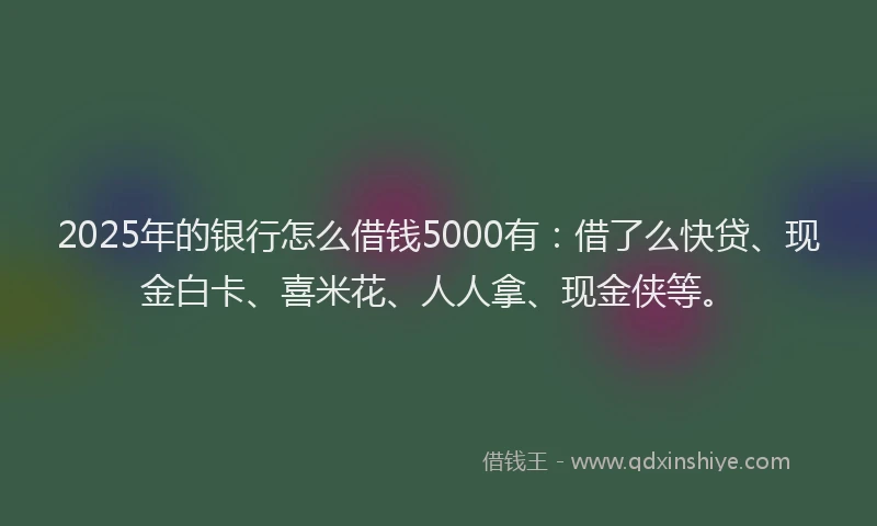 2025年的银行怎么借钱5000有：借了么快贷、现金白卡、喜米花、人人拿、现金侠等。