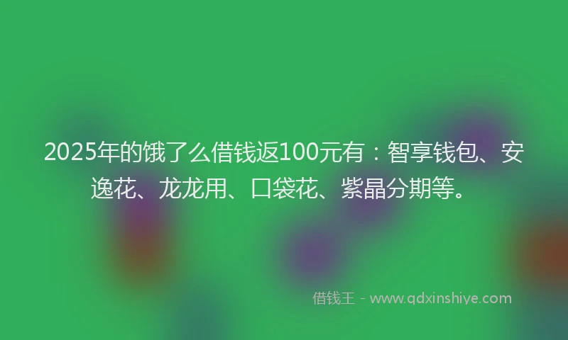 2025年的饿了么借钱返100元有：智享钱包、安逸花、龙龙用、口袋花、紫晶分期等。