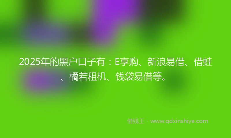2025年的黑户口子有：E享购、新浪易借、借蛙、橘若租机、钱袋易借等。
