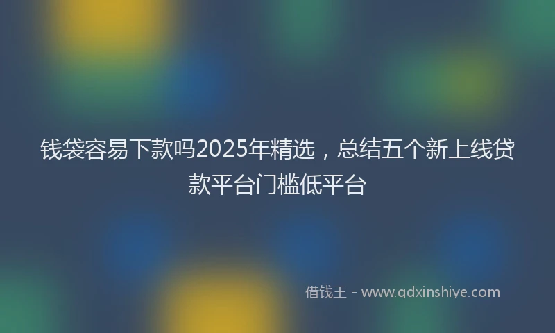 钱袋容易下款吗2025年精选，总结五个新上线贷款平台门槛低平台