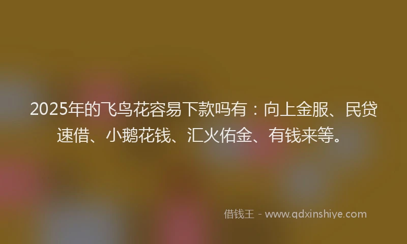 2025年的飞鸟花容易下款吗有：向上金服、民贷速借、小鹅花钱、汇火佑金、有钱来等。