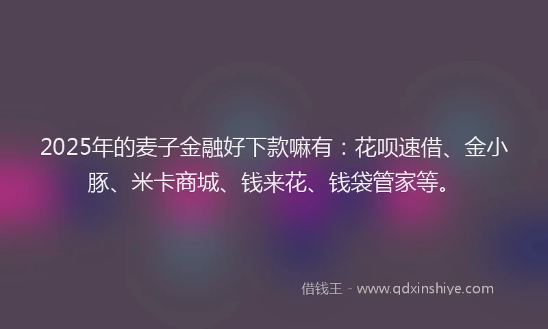 2025年的麦子金融好下款嘛有：花呗速借、金小豚、米卡商城、钱来花、钱袋管家等。