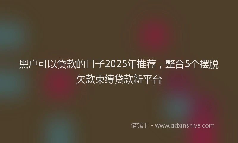 黑户可以贷款的口子2025年推荐，整合5个摆脱欠款束缚贷款新平台