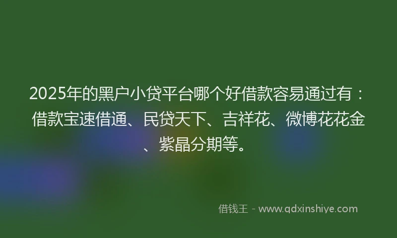 2025年的黑户小贷平台哪个好借款容易通过有：借款宝速借通、民贷天下、吉祥花、微博花花金、紫晶分期等。
